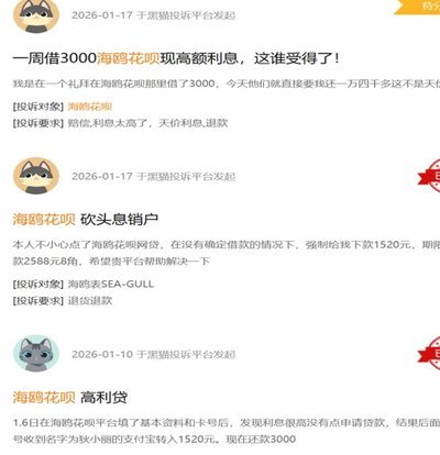 海鸥花呗平台 现在还有吗
