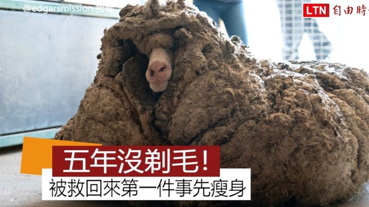 羊小咩积分套现攻略