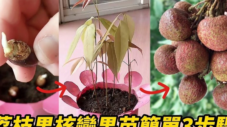 便荔卡购物额度怎么取出来秒到账