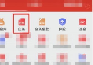 白条 套现金