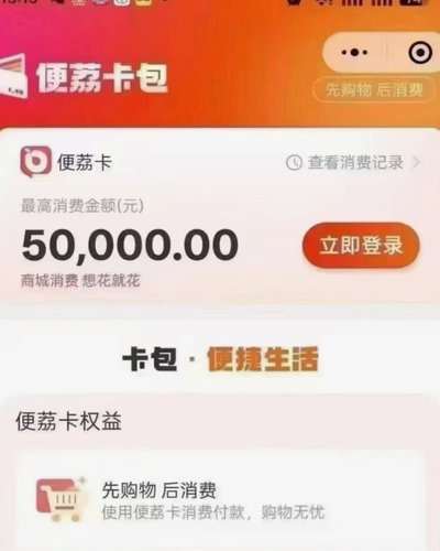羊小咩额度如何合理运用