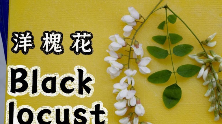 洋洋花呗：智能金融平台解析