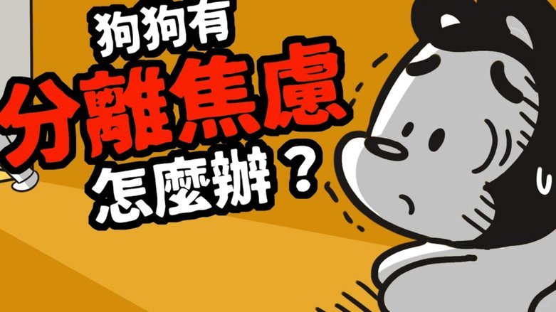 鹿卡自动续费取消指南