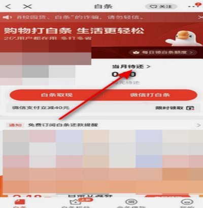 白条取现怎么取不了呀
