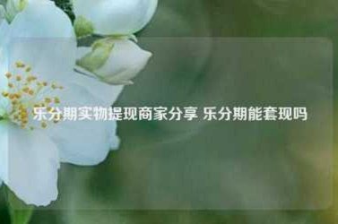分期套现背后的秘密：金融创新与潜在风险揭秘