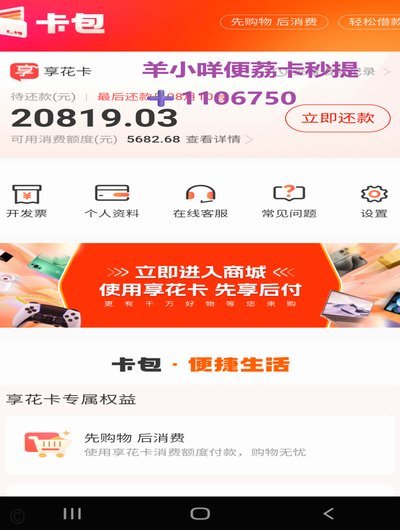 羊小咩怎么获得额度