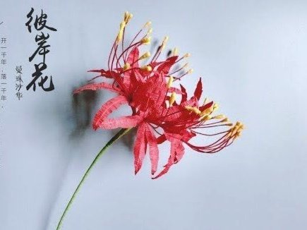 拿去花如何套