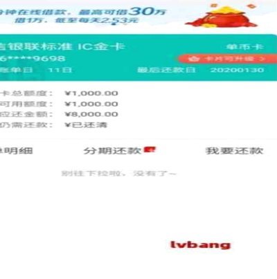 100个网贷平台 怎么还款