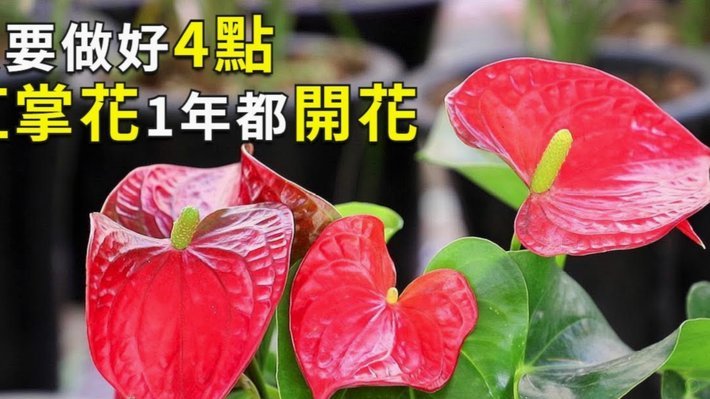 花呗现在情况怎么样?
