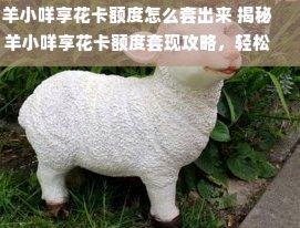 羊小咩贷款能提现吗