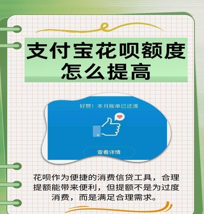 拿去花额度怎么提出来