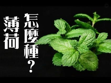 使用花呗如何规避手续费？分享几个合规省钱小技巧