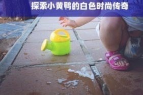 羊小咩购物额度转让技巧