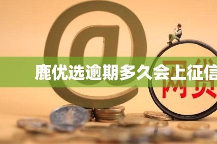 鹿优选8000元借款实际还款多少