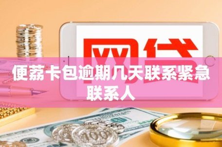 荔卡借钱：隐患与风险