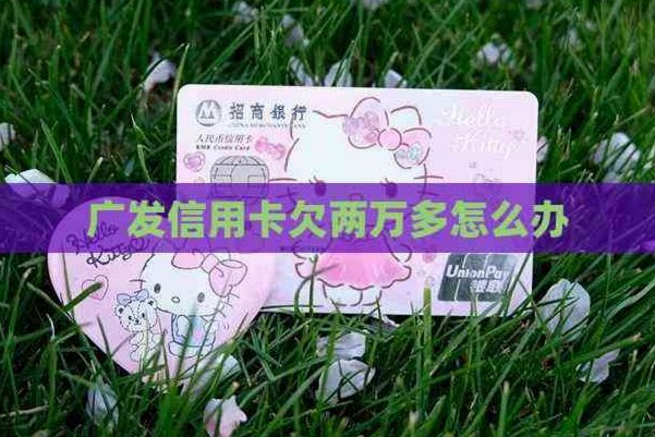 如何应对两万多的债务