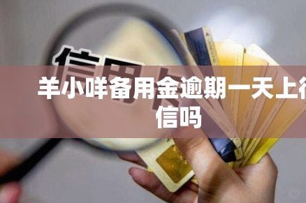羊小咩还款时间详解