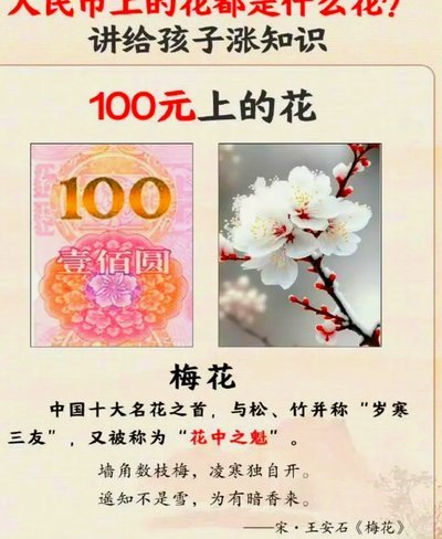 消费主义如何扭曲时间