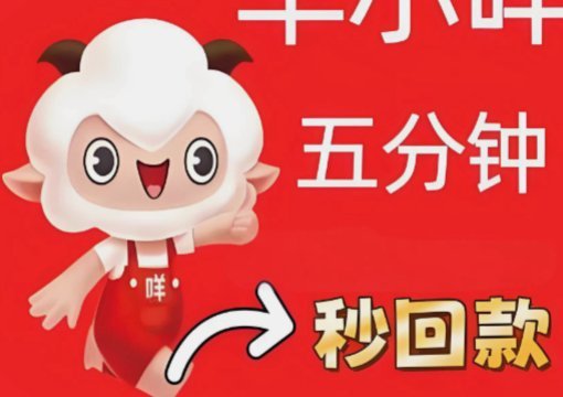 羊小咩：100元轻松玩转
