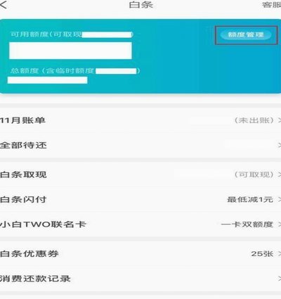 白条取出额度商家 平台能看见吗