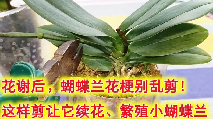 拿去花套现全攻略：合规变现方法揭秘