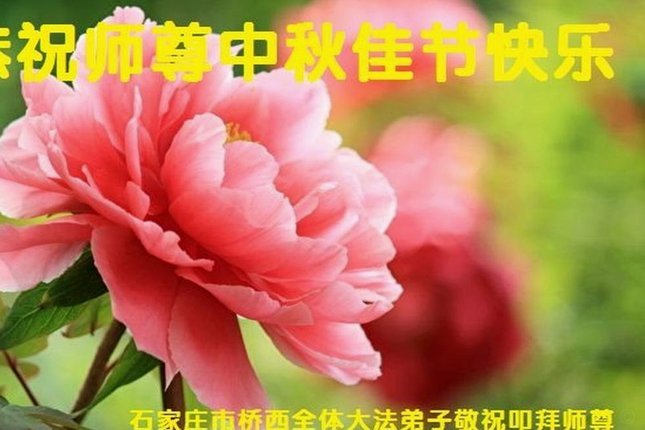 花呗这个平台合法吗