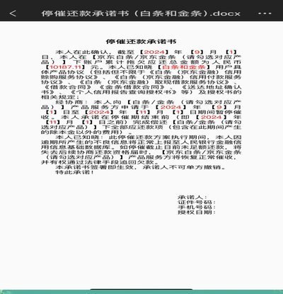 秒白条还款：轻松借，更要记清这些事