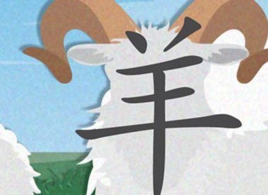 羊毛循环：价值与未来