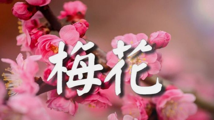 套花呗秒到的平台是什么