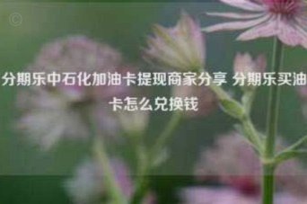 分期乐的钱如何提现