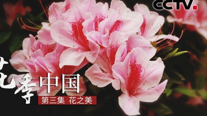 花呗这个平台合法吗 套路是真的