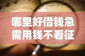 2025无视黑白户秒过的网贷