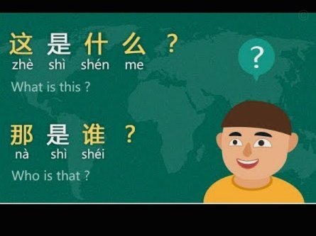 白条是什么业务