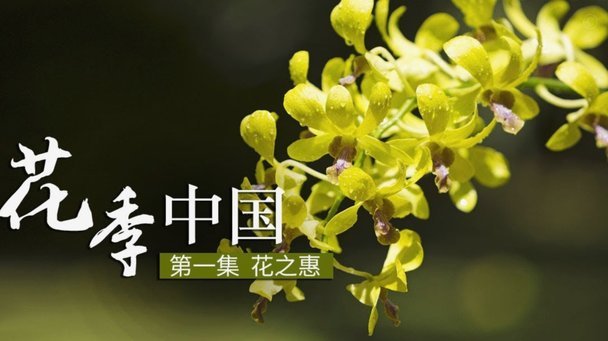 花呗套现到底算不算违法行为？