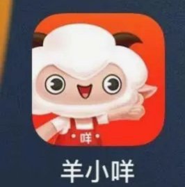 羊小咩借款额度查询指南