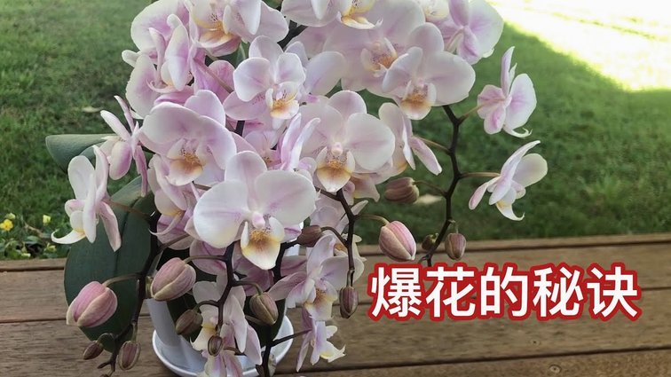 套现花呗是什么 出现的现象