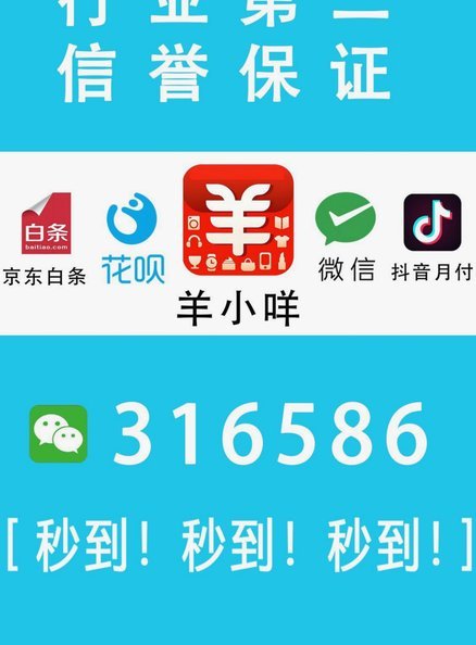 解析羊小咩商城额度体系背后的动态授信与风控逻辑