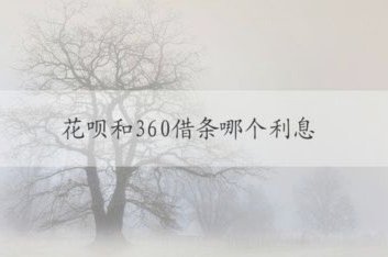 花呗秒套平台怎么样 哪个利息低