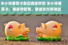 羊小咩取现秒到是否可信？