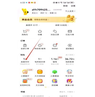 美团月付可以买什么套出来