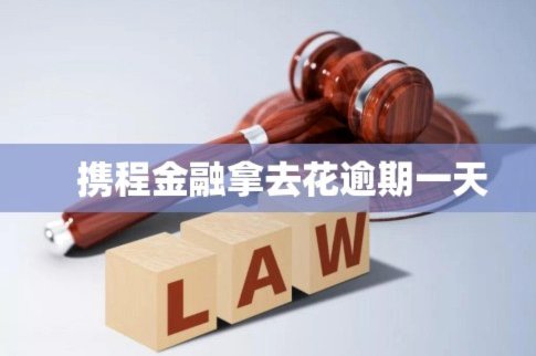 携程拿去花：信用支付让旅行更便捷