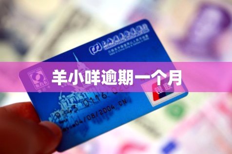 羊小咩还款后额度如何变？