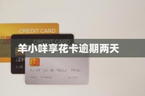 羊小咩还款后还会出额度吗
